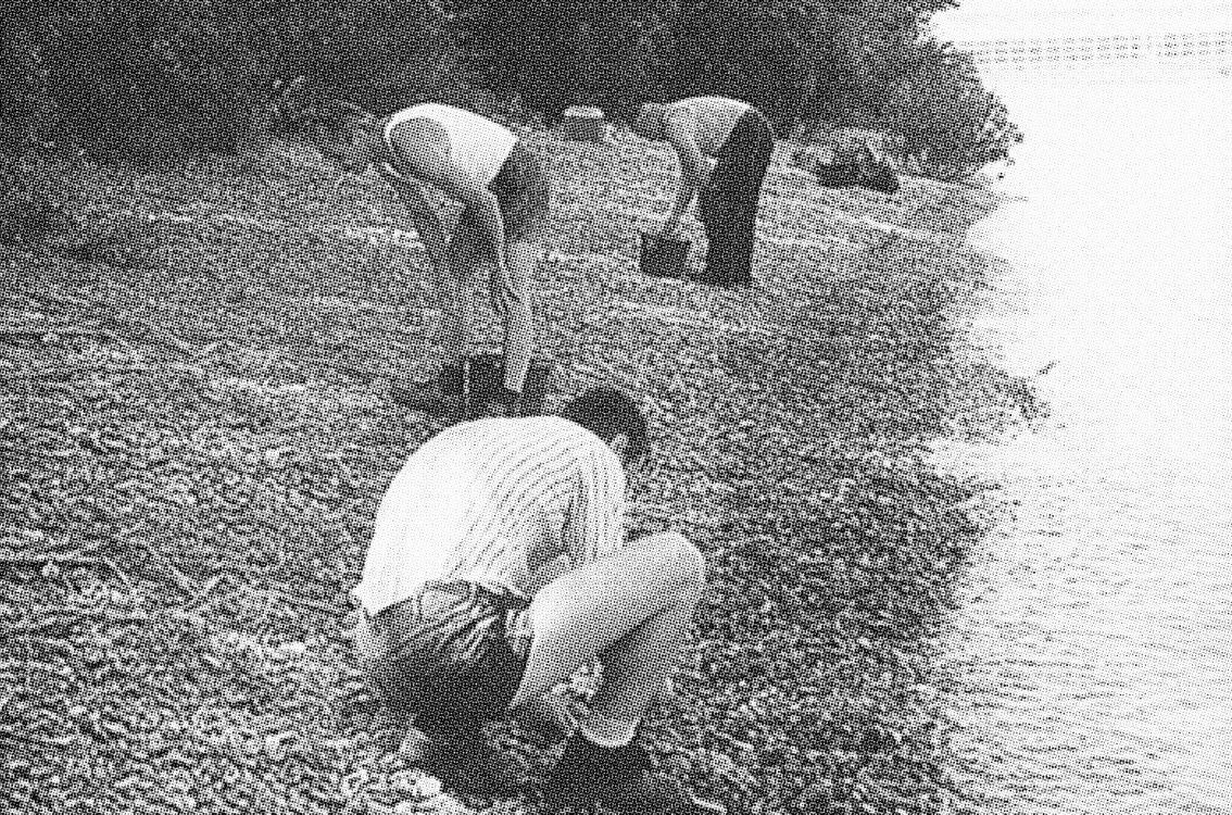 Arbeiter sammeln Kieselsteine am Fluss, © Stadt Freiburg, Garten- und Tiefbauamt